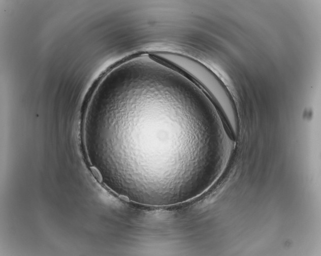 X0000091370992200708101529