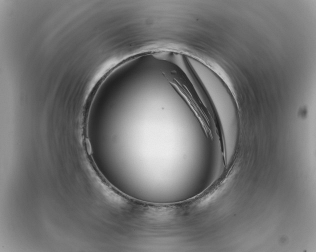 X0000091370997200708101528