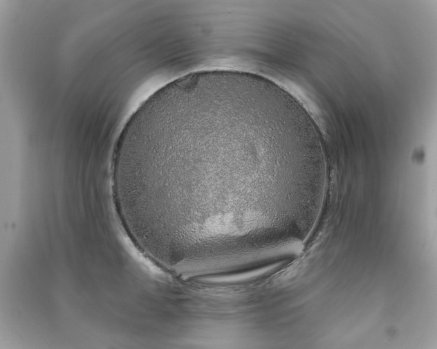 X0000091370998200708101528