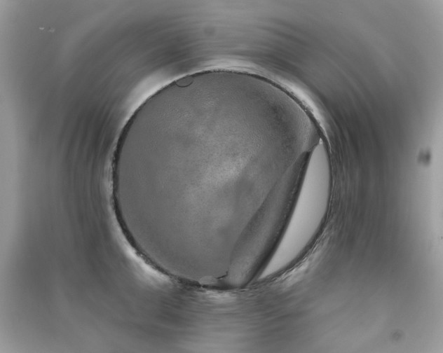 X0000091370999200708101528