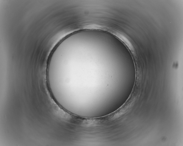 X0000091371000200708101528