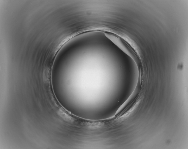 X0000091371001200708101528