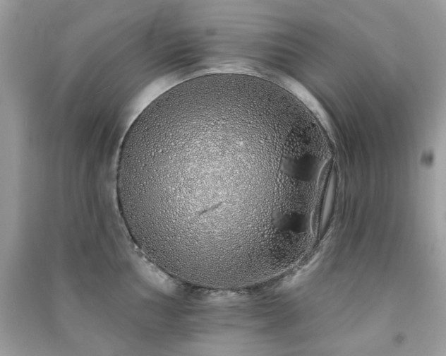 X0000091371002200708101528