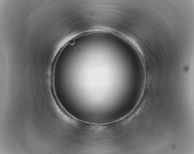 X0000091371003200708101528