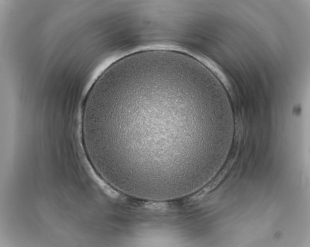 X0000091371006200708101528