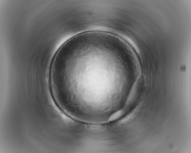 X0000091371007200708101528