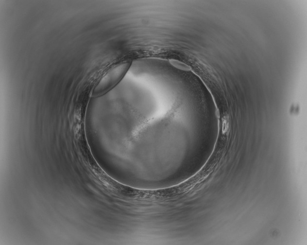 X0000091371011200708101528