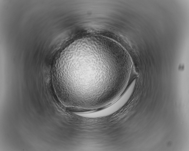 X0000091371012200708101528