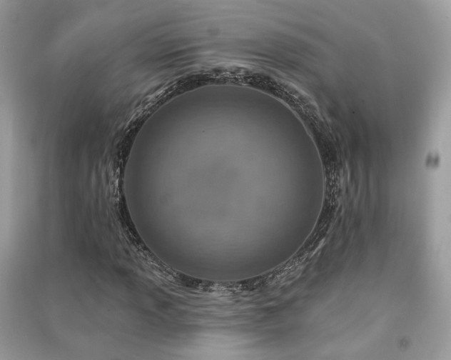 X0000091371013200708101528