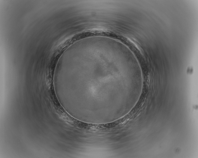 X0000091371015200708101528