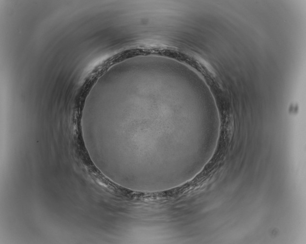 X0000091371016200708101528