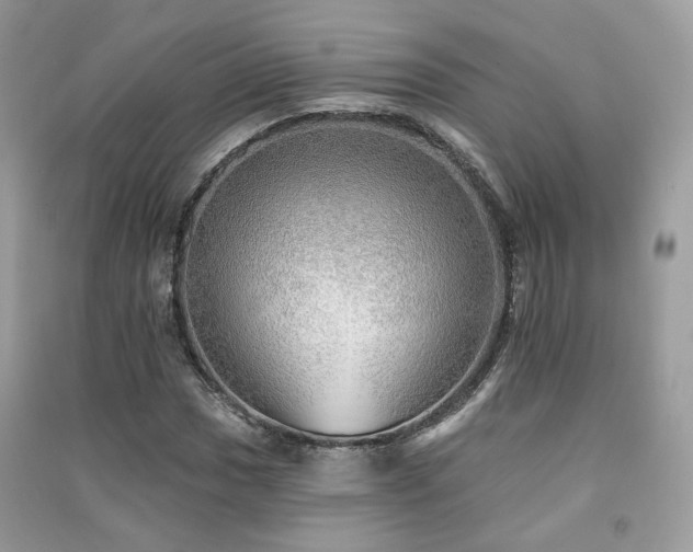 X0000091371017200708101528