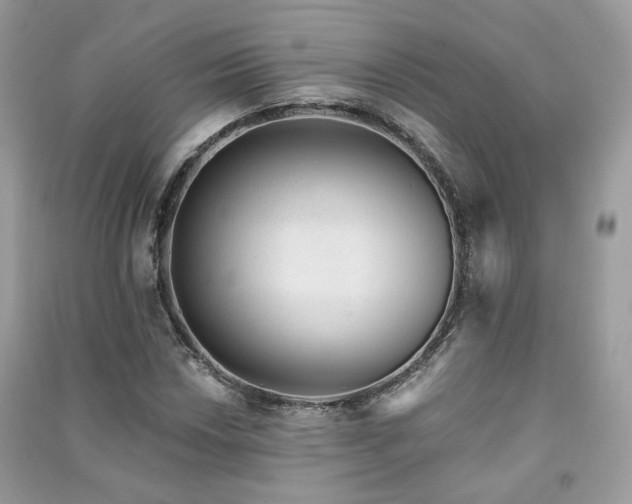 X0000091371018200708101528