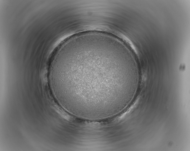 X0000091371019200708101528