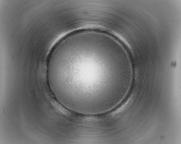 X0000091371021200708101528