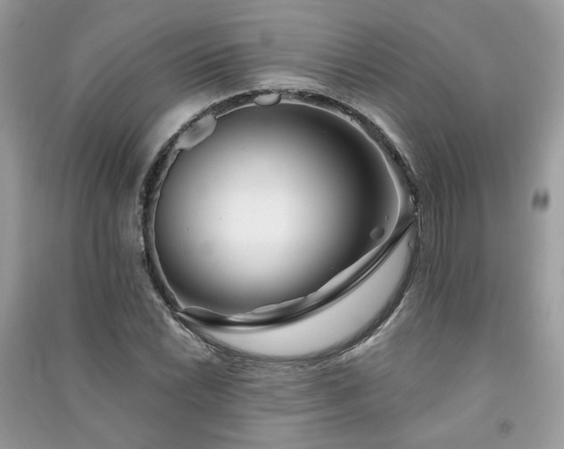 X0000091371022200708101528