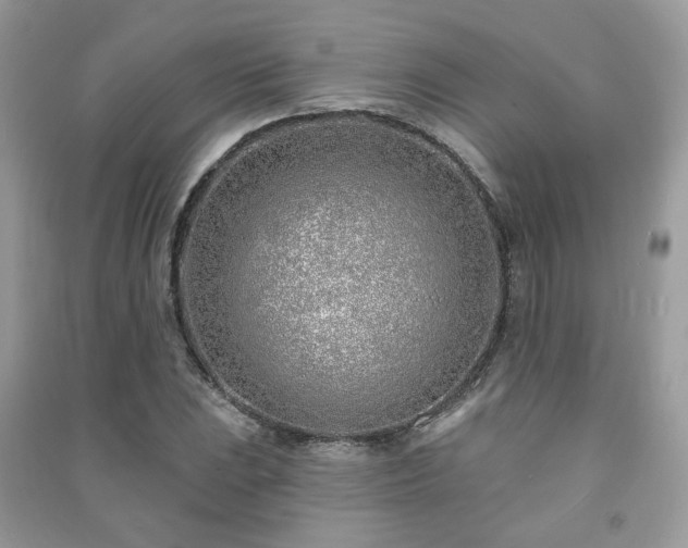 X0000091371023200708101528