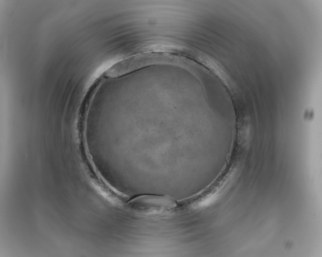 X0000091371026200708101528