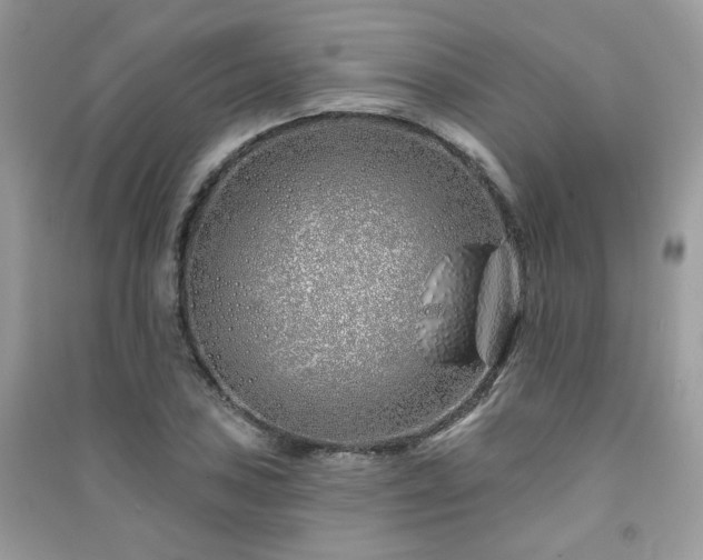 X0000091371027200708101528