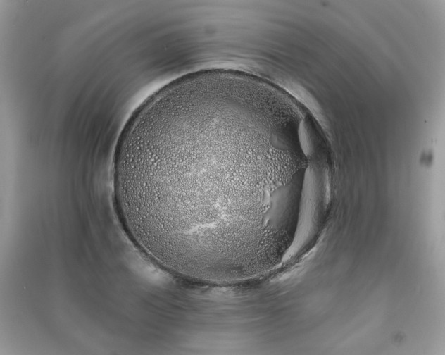 X0000091371028200708101528