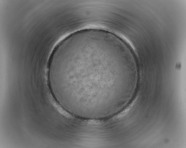 X0000091371029200708101528