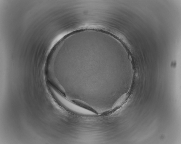 X0000091371030200708101528