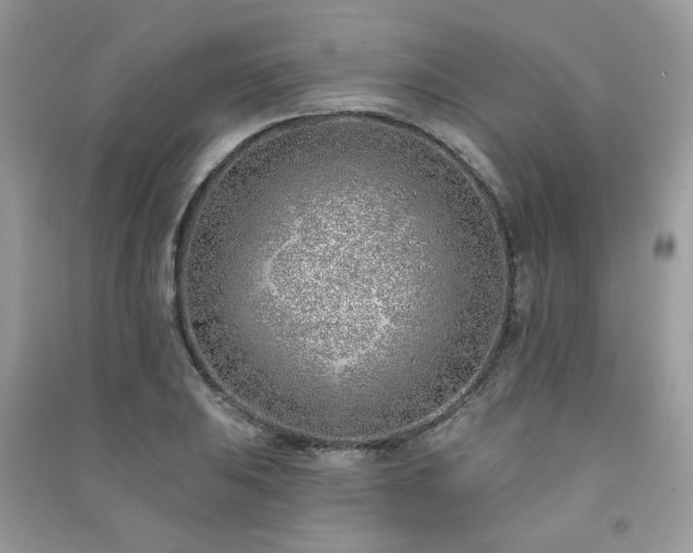 X0000091371031200708101528