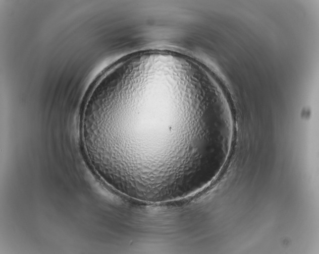 X0000091371032200708101528