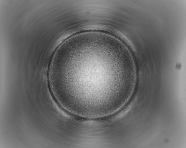 X0000091371033200708101528