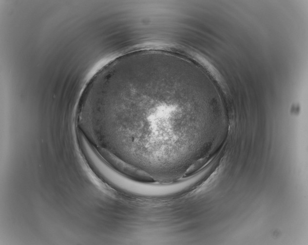 X0000091371034200708101528