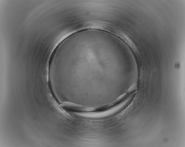 X0000091371036200708101528