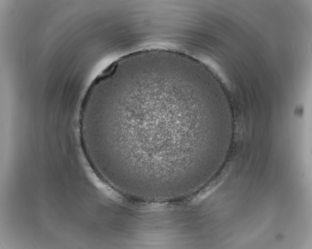 X0000091371038200708101528