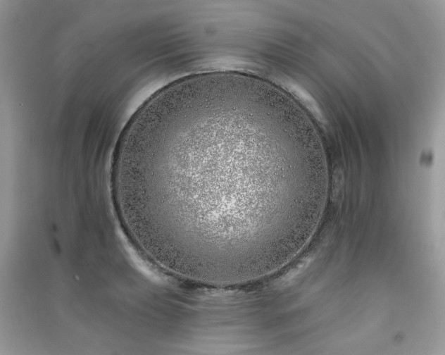 X0000091371039200708101528