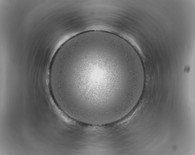 X0000091371040200708101528