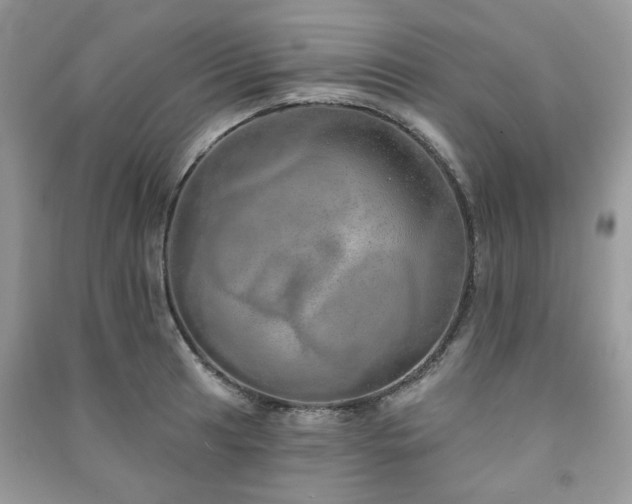 X0000091371041200708101528