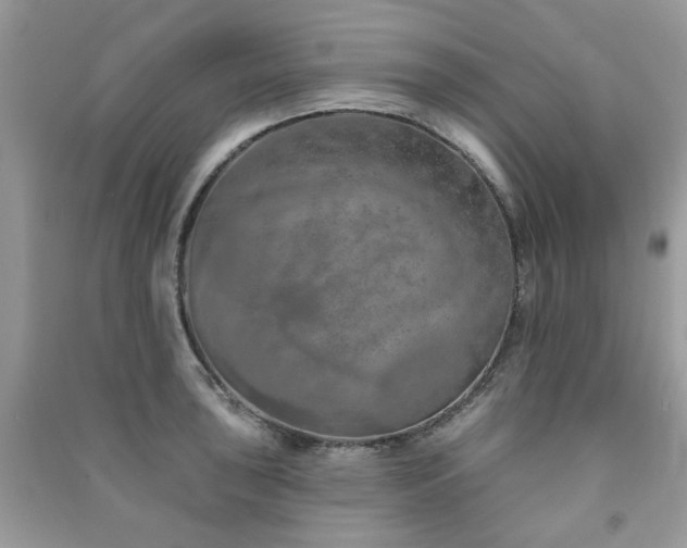 X0000091371043200708101528