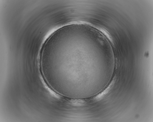 X0000091371046200708101528