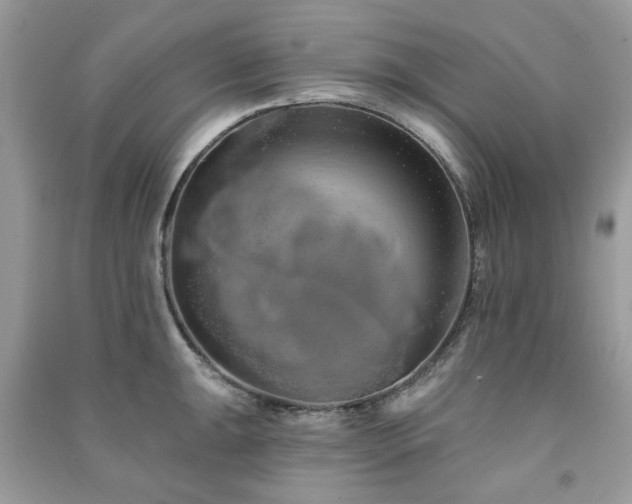 X0000091371047200708101528