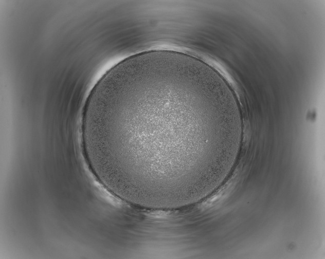 X0000091371048200708101528