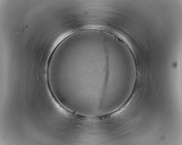 X0000091371050200708101528