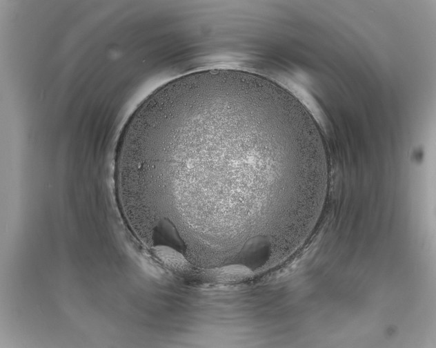 X0000091371051200708101528