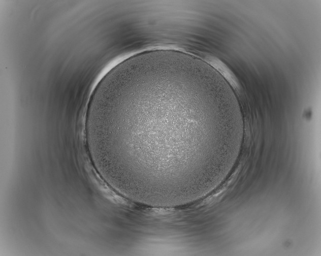 X0000091371052200708101528