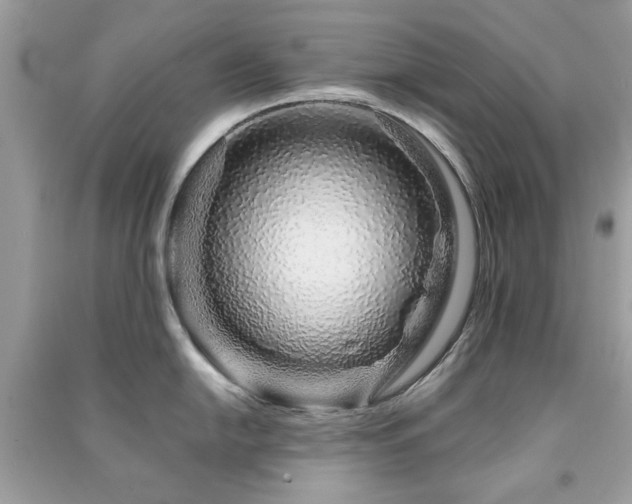 X0000091371054200708101528