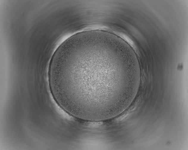 X0000091371055200708101528