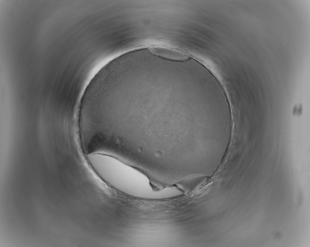 X0000091371056200708101528