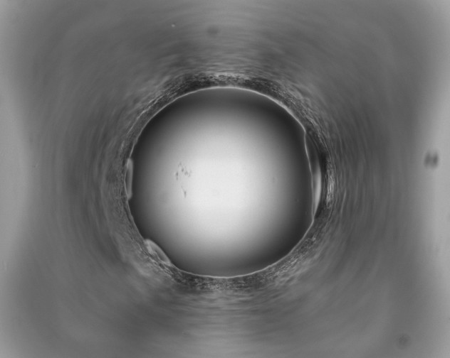 X0000091371057200708101528