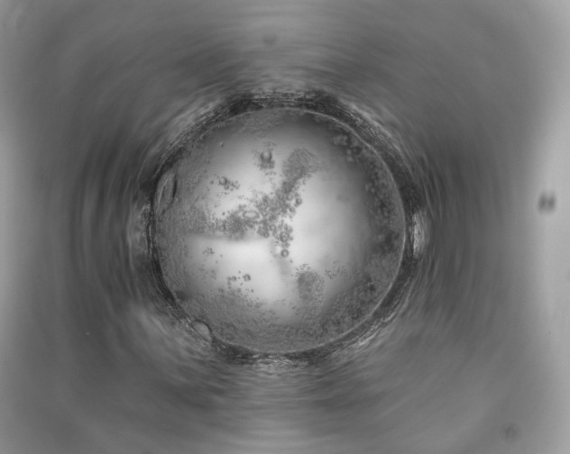 X0000091371059200708101527