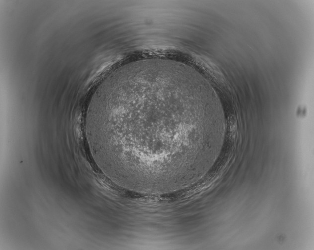 X0000091371060200708101527