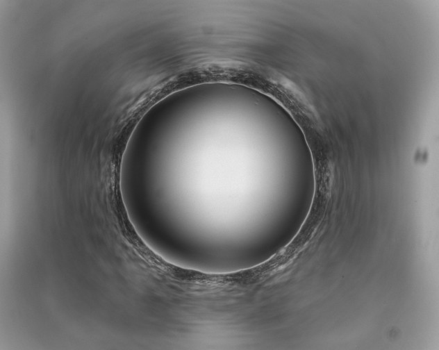 X0000091371061200708101527