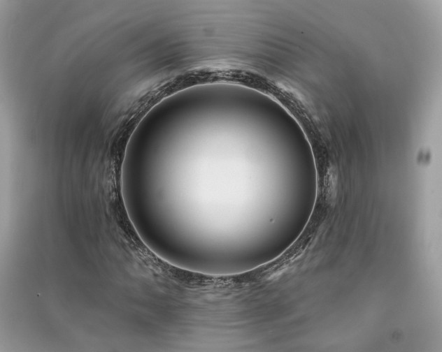 X0000091371062200708101527